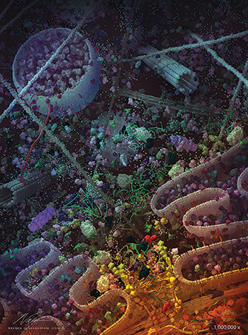 As a University of Toronto student, Naveen Devasagayam produced this intricate image illustrating the complex biochemical landscape within a living cell.