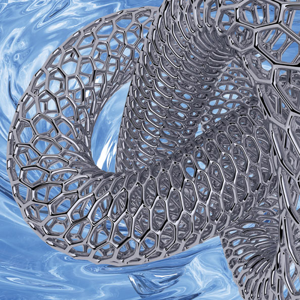 Nanotubes continue to capture the imagination of researchers.